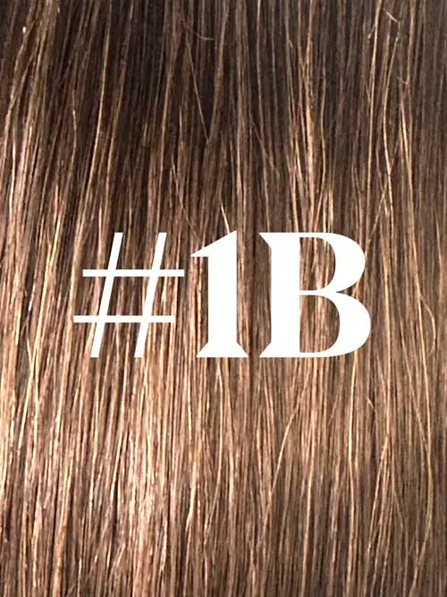 #1B Natural Black