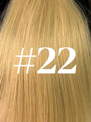 #22 Honey Blonde